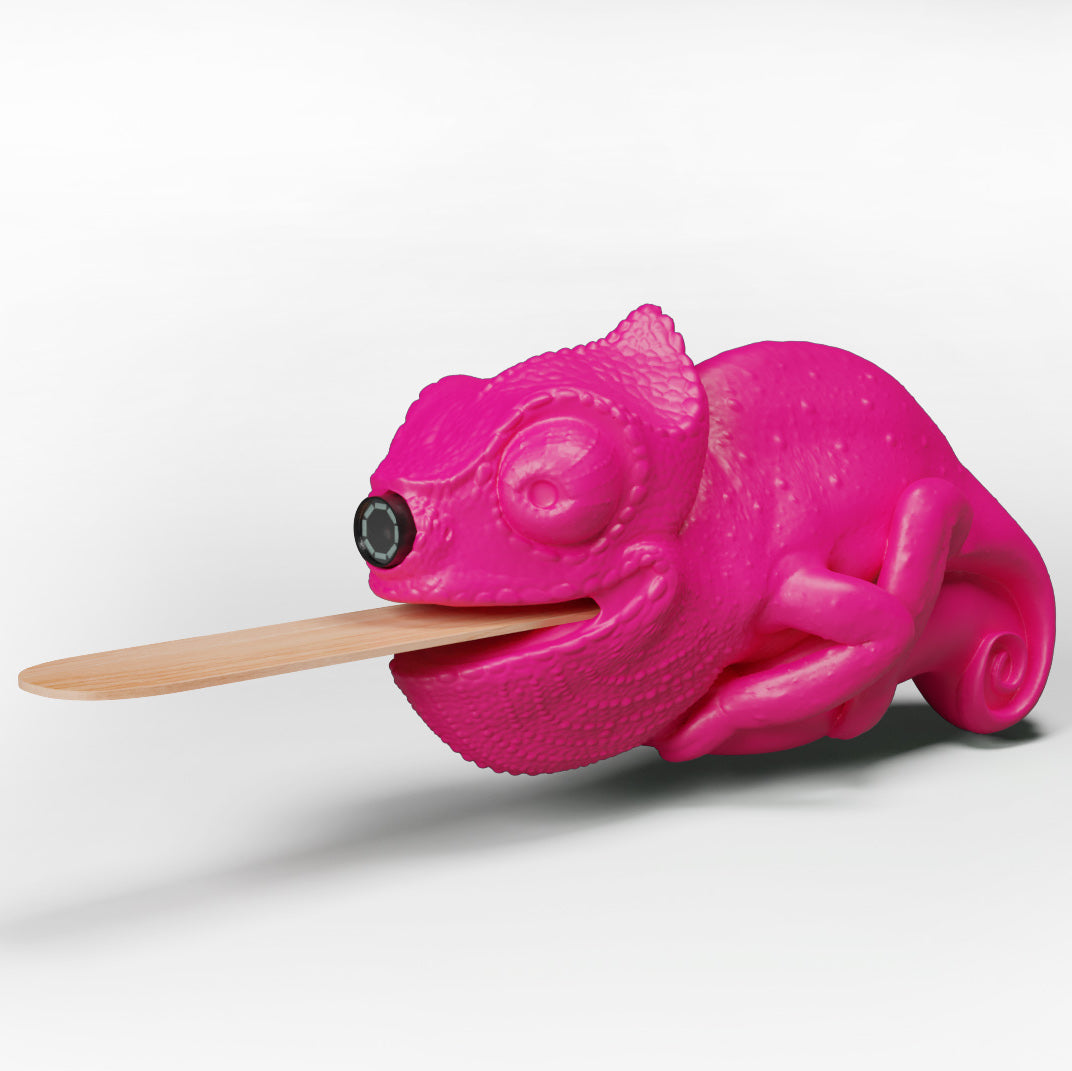 Kameleon Kamera