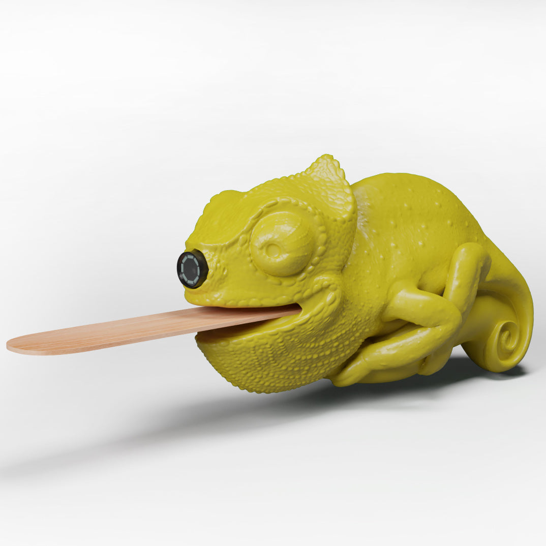 Kameleon Kamera