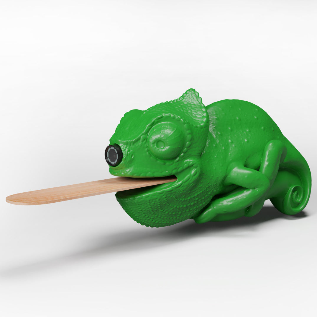 Kameleon Kamera